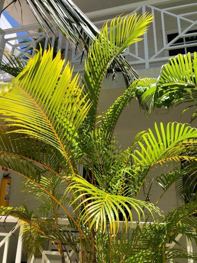 Two-Bedroom Suite,1031279179:JPEG