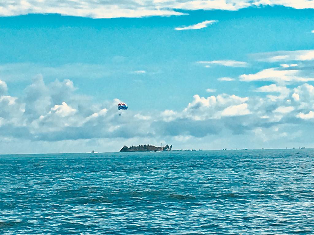 Apartment with Balcony,485114034:JPEG