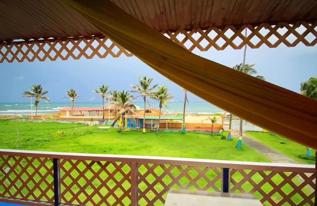 Yellow Moon Guesthouse & Apartments-1