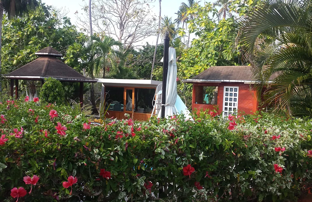 Summer Dream Hotel Boutique-1