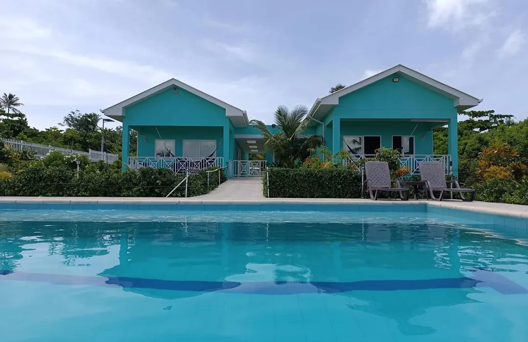 Blue Lizard House-1