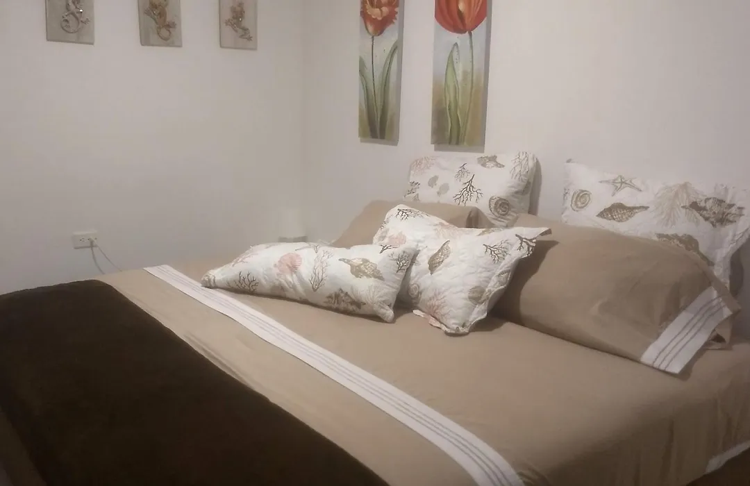 Hibiscus House-1