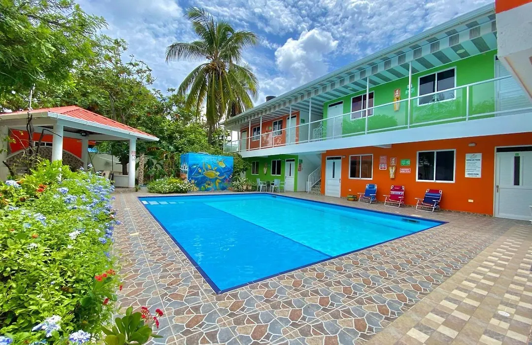 Apartamento Miss Brigida-1