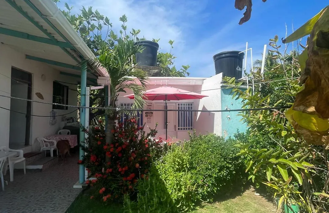 Miss Margaritas'S House-1