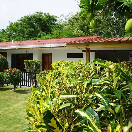 Cozy Cottage Posada Turistica-2