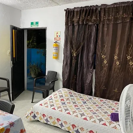 Miss Nita Sweet Home-3