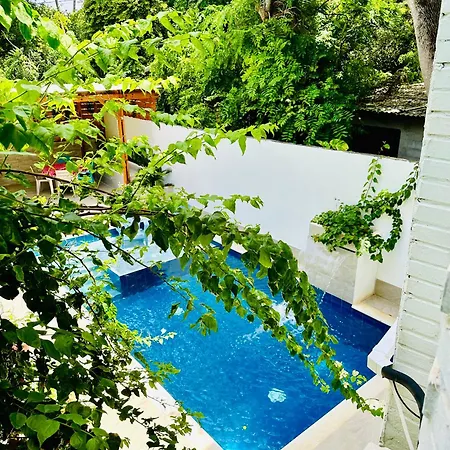 Palmare House-2