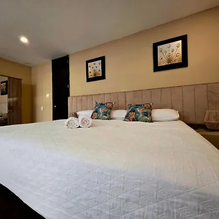 Hotel Classic Vip-2