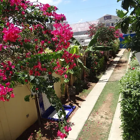 Summer House Inn San Andres-3