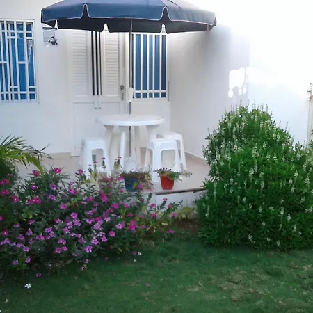 Miss Margaritas'S House-3