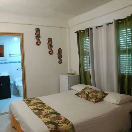 Boutique Royal Palm Inn San Andrés-3